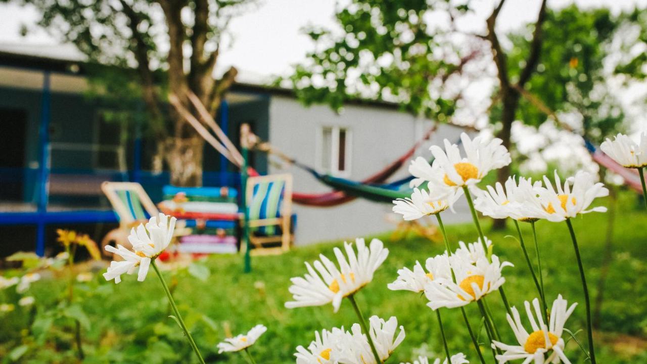 Bebo Babu Guest House Kutaisi Exterior photo